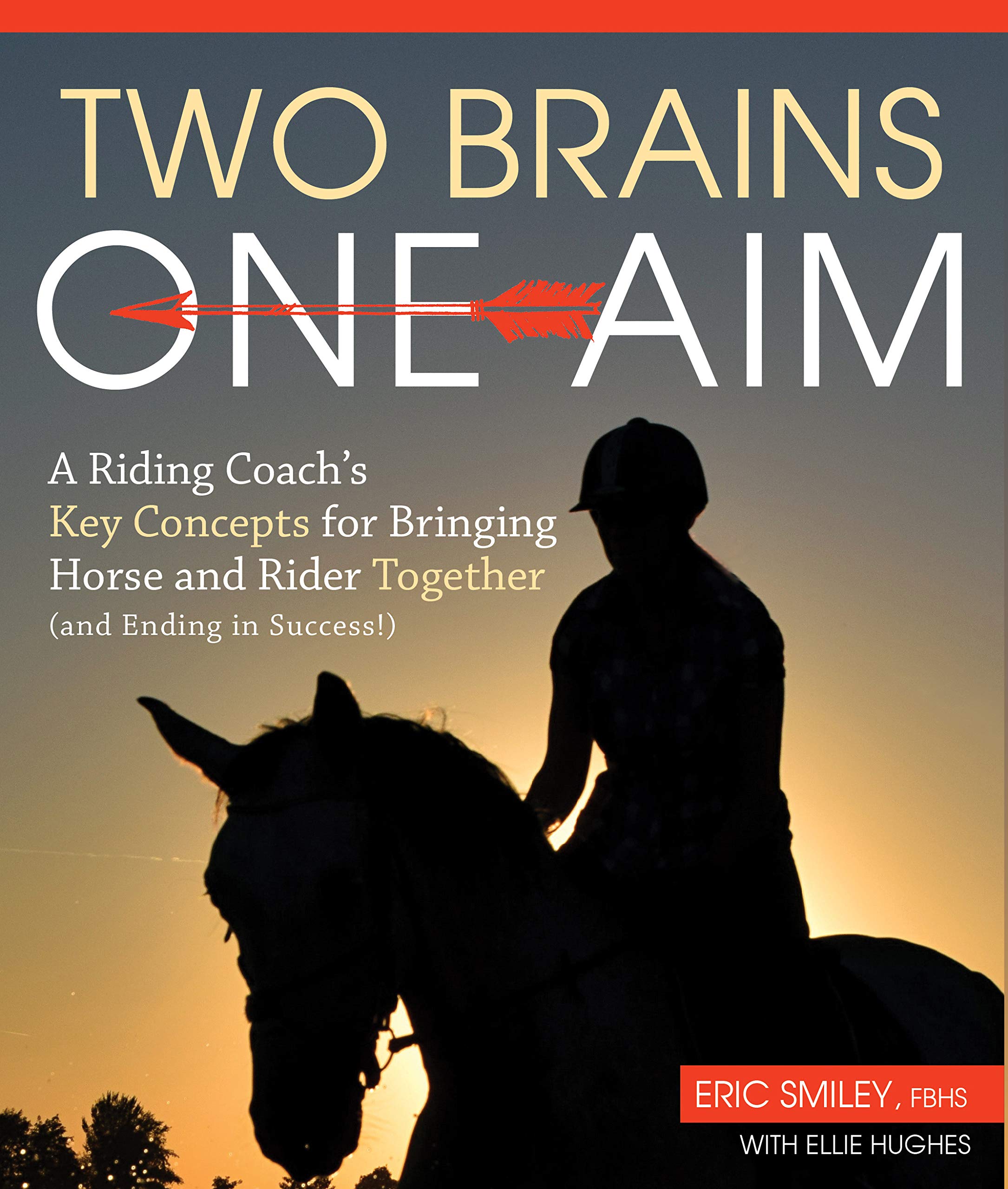 Two Brains One Aim by Eric Smiley